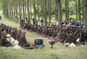 Сливовая деревня приглашает посидеть вместе в медитации ради мира на планете